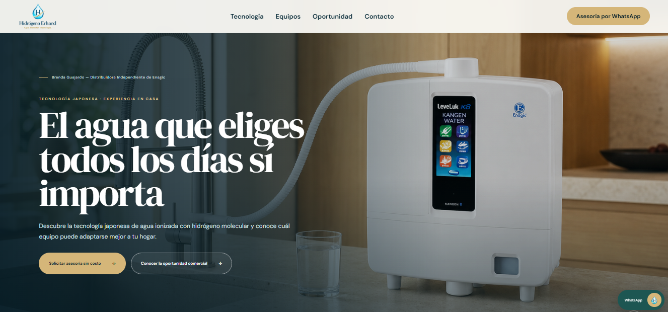 Ejemplo de página web premium desarrollada para Hidrógeno Erhard